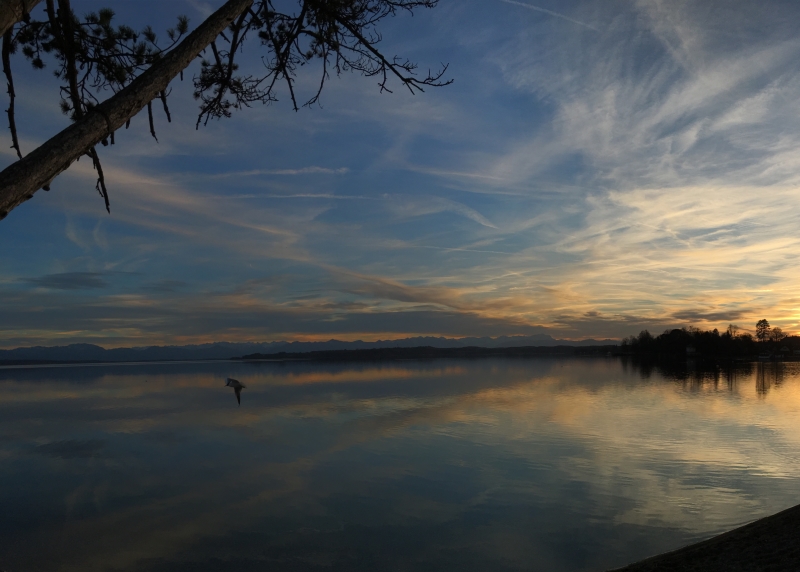 Verkaufen - Seegrundstück am Starnberger See Seegrundstück verkaufen Starnberger See