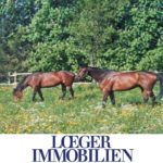 +VERKAUFT+ Bauernhof – Pferdehof in Dießen am Ammersee +VERKAUFT+ Bauernhof – Pferdehof in Dießen am Ammersee